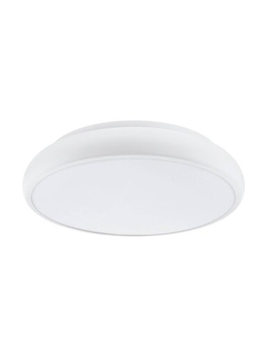 ŠVIESTUVAS LUBINIS RIODEVA-C LED 27W