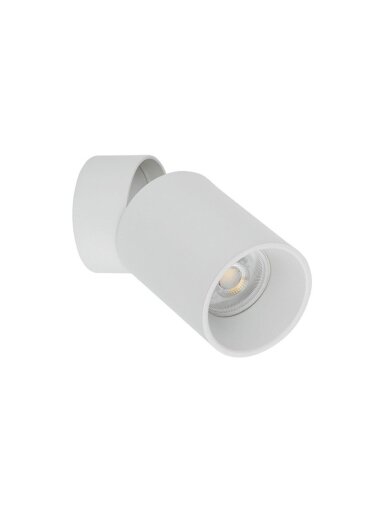 Šviestuvas nukreipiamasis TK Lighting Top 5373, 10 W, GU10