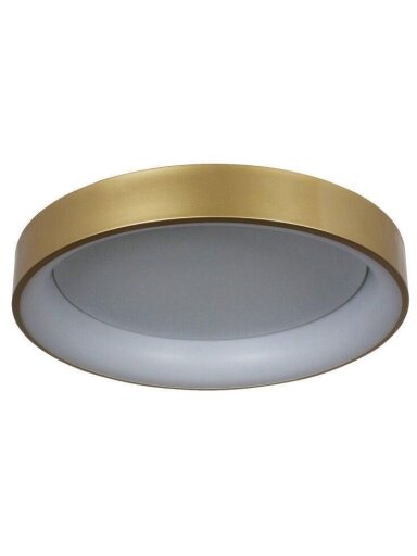 Šviestuvas plafonas Georgia, 36 W, LED,3-6°K, 2400lm
