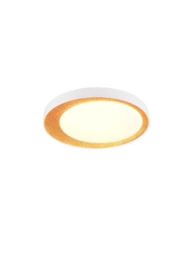 Šviestuvas plafonas Reality Aleta R64611179, 24W, 2.7 - 6.5K
