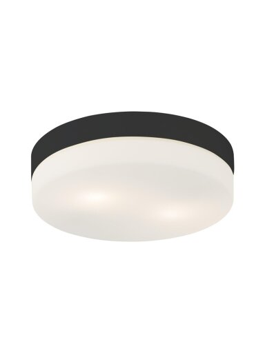 Šviestuvas TK Lighting Pori, 15W, E27, IP20, juodas