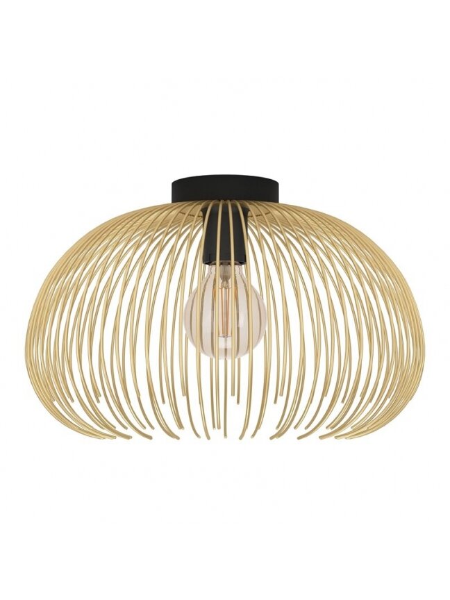 Šviestuvas lubinis Eglo VENEZUELA, 40 W, E27, 900165 Šviestuvas lubinis Eglo VENEZUELA, 40 W, E27, 900165