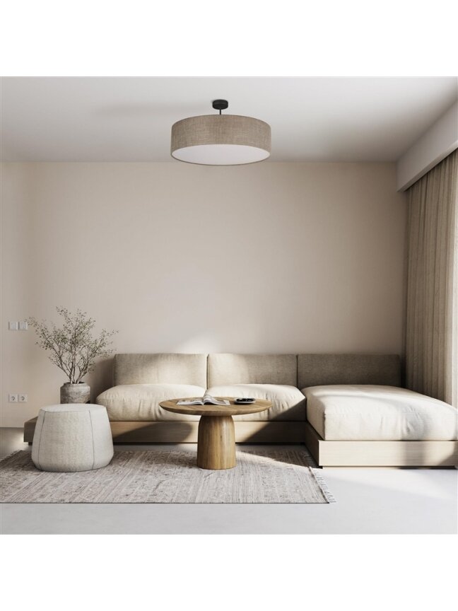 Šviestuvas lubų TK Lighting Rondo 6248, 60 W, E27 2 Šviestuvas lubų TK Lighting Rondo 6248, 60 W, E27 2