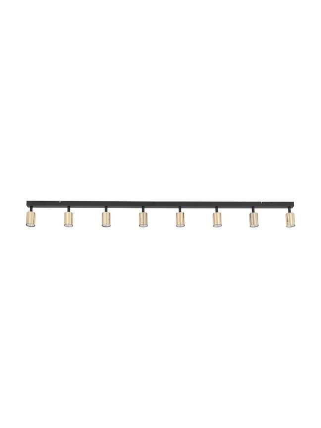 Šviestuvas nukreipiamasis TK Lighting Top 5997, 80 W, GU10 2
