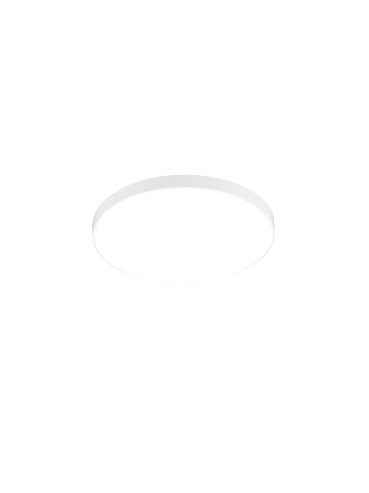 Šviestuvas plafonas Reality R67851101, LED, 4000 °K