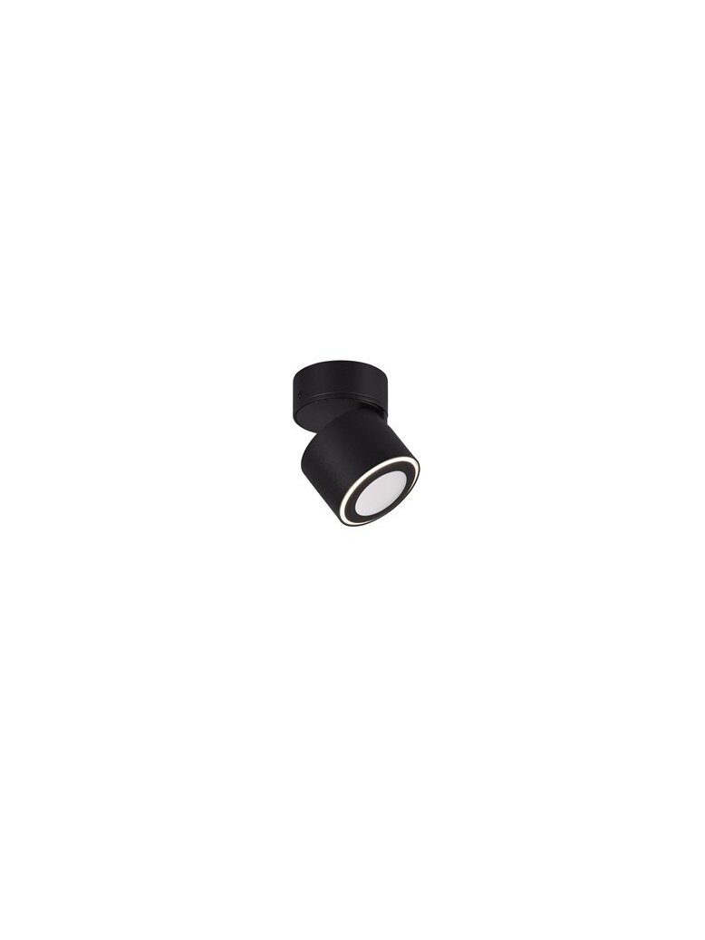 Šviestuvas Trio TAURUS, nukreipiamasis, 5 W, LED, 652910132 2