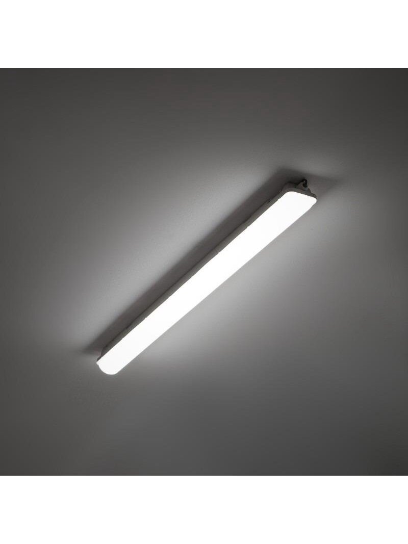ŠVIES TVIRT 50W 4000K 5750LM IP65 114CM 1