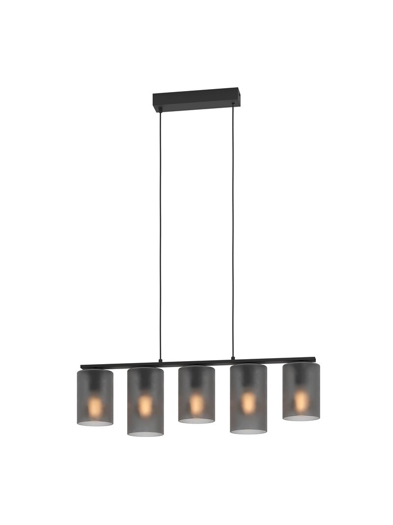 Šviestuvas kabinamas Eglo 901163, 200 W, E27 1