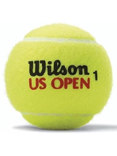 Teniso kamuoliukai Wilson US Open WRT116200 4vnt