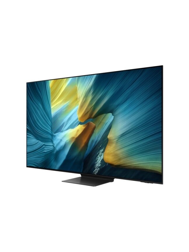 TELEVIZORIUS QE55S95FATXXH SAMSUNG
