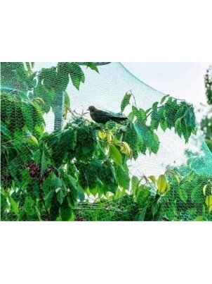 Tinklas nuo paukščių ir krušos 2x5 m 2 Tinklas nuo paukščių ir krušos 2x5 m 2