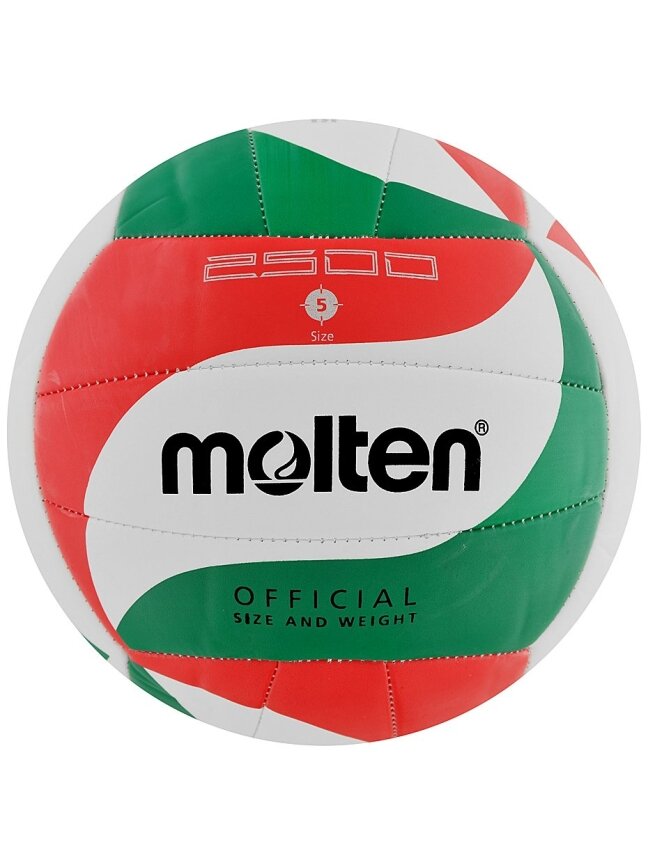 Tinklinio kamuolys Molten V5M2500