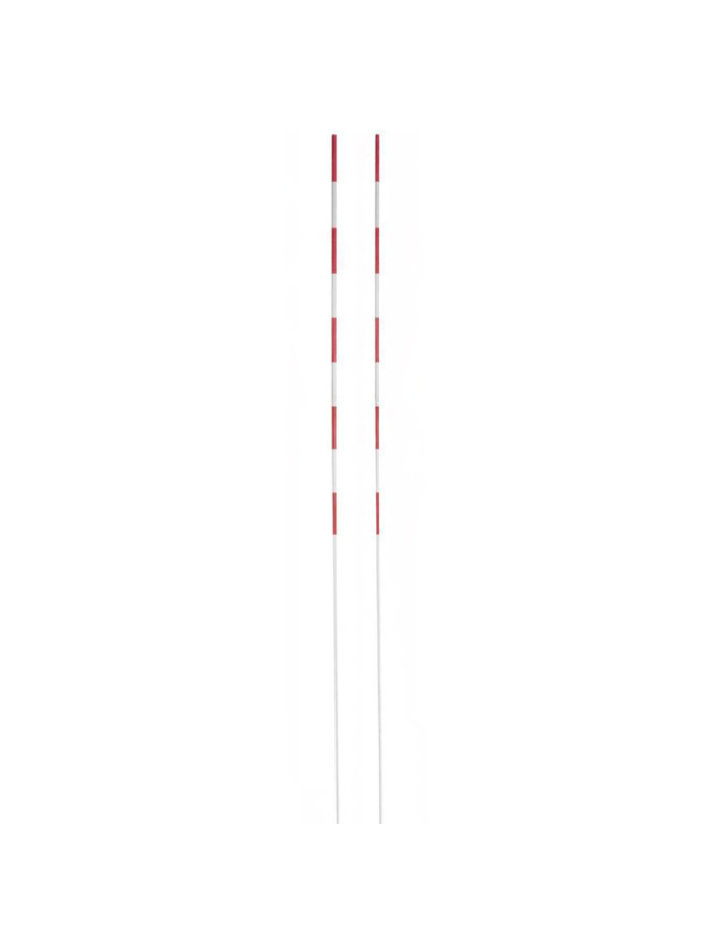Tinklinio tinklas ZPH NETEX Podszus SI0005 su antenomis 3 Tinklinio tinklas ZPH NETEX Podszus SI0005 su antenomis 3