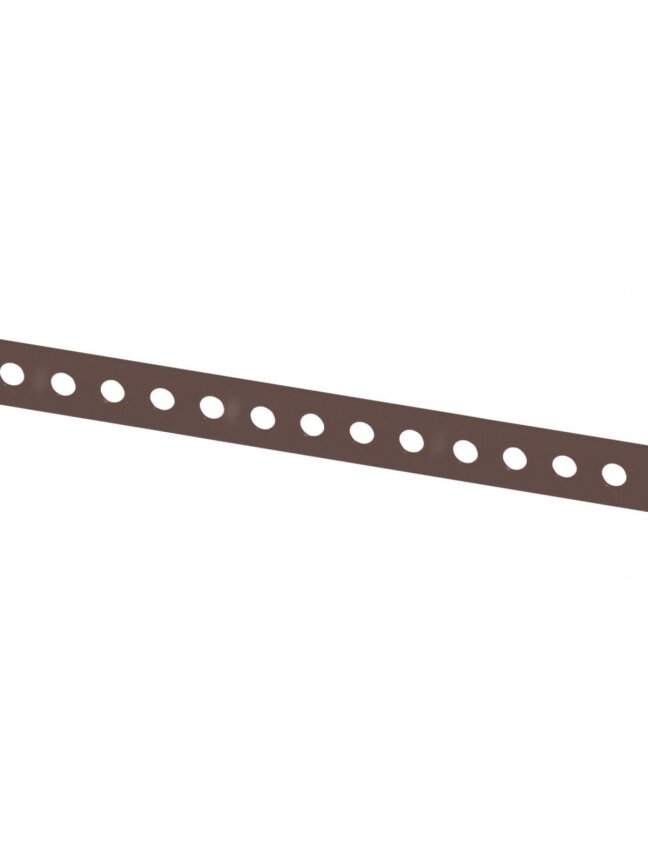 Tvirtinimo juosta, perforuota, 12 x 0.7 mm, 3 m, ruda 1