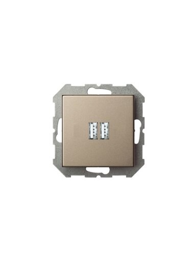 USB kroviklis LIREGUS EPSILON, šampano spalvos