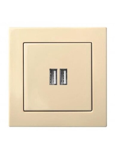 USB kroviklis LIREGUS EPSILON, smėlio spalvos