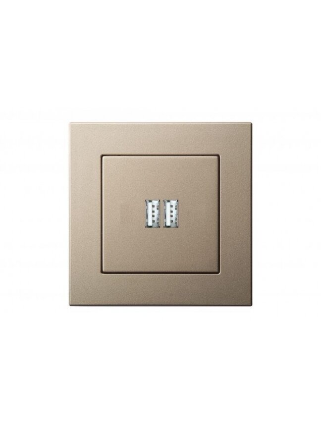 USB kroviklis LIREGUS EPSILON, šampano spalvos 1 USB kroviklis LIREGUS EPSILON, šampano spalvos 1