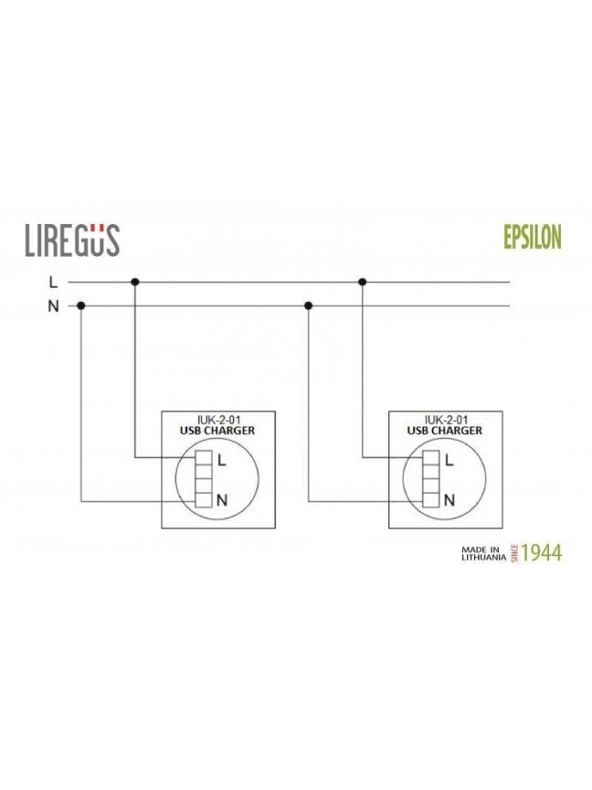 USB kroviklis LIREGUS EPSILON, šampano spalvos 2 USB kroviklis LIREGUS EPSILON, šampano spalvos 2