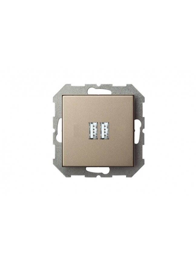 USB kroviklis LIREGUS EPSILON, šampano spalvos USB kroviklis LIREGUS EPSILON, šampano spalvos