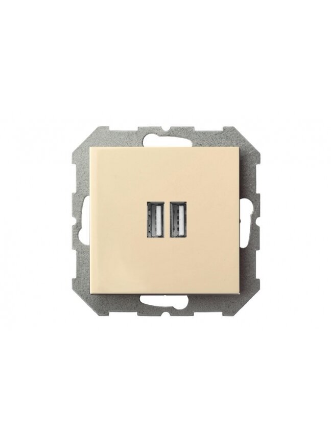 USB kroviklis LIREGUS EPSILON, smėlio spalvos