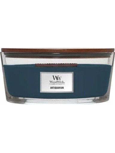 Žvakė, aromatinė WoodWick Ellipse Antiquarium, 453.6 g,