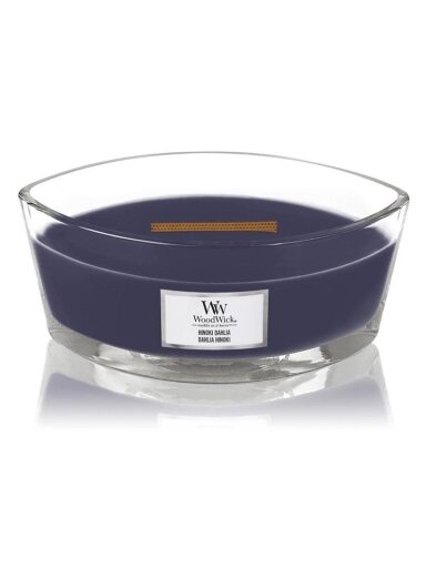 Žvakė, forminė WoodWick Ellipse Hinoki Dahlia, 453.6 g,