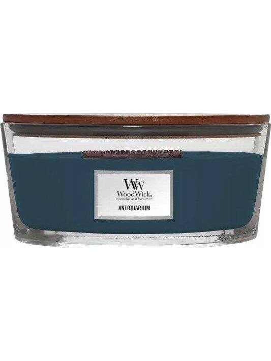 Žvakė, aromatinė WoodWick Ellipse Antiquarium, 453.6 g, Žvakė, aromatinė WoodWick Ellipse Antiquarium, 453.6 g,